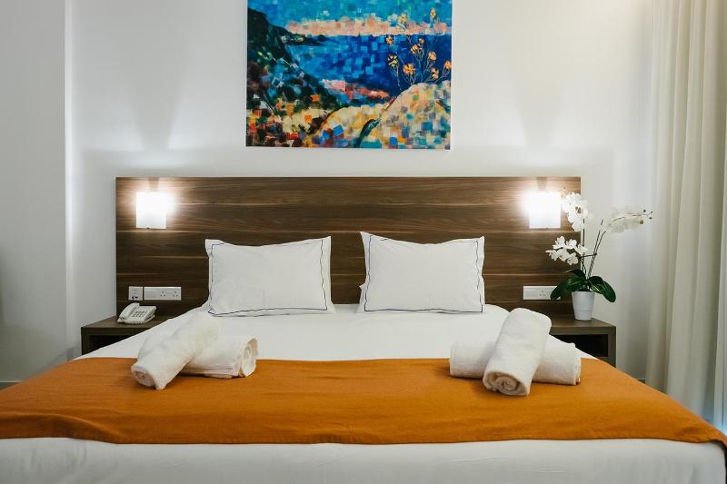 Double or Twin Room image 4