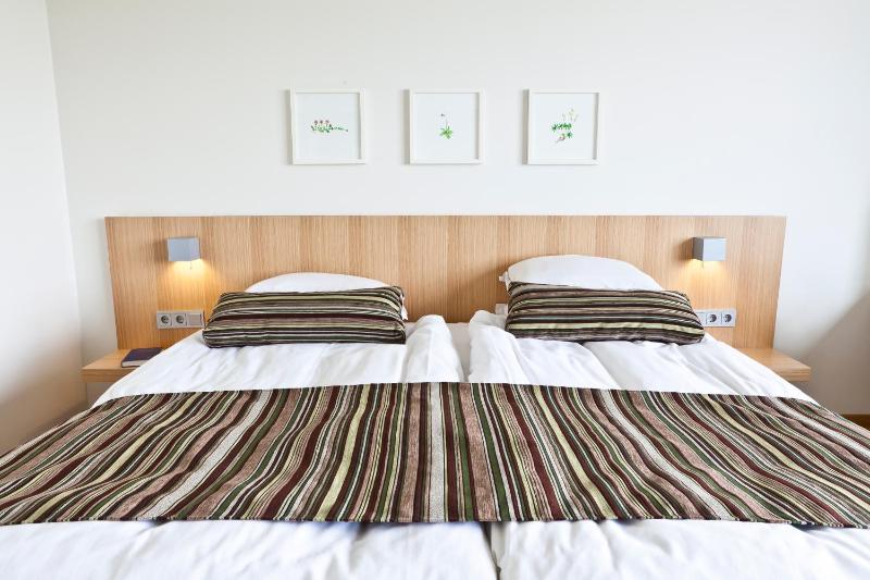 Deluxe Double Room with Spa Access image 1
