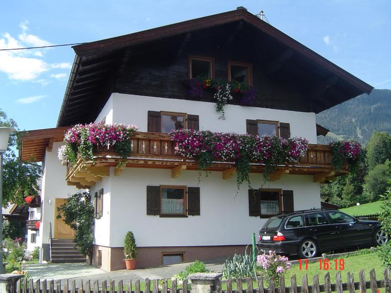 One-Bedroom Apartment with Terrace image 4