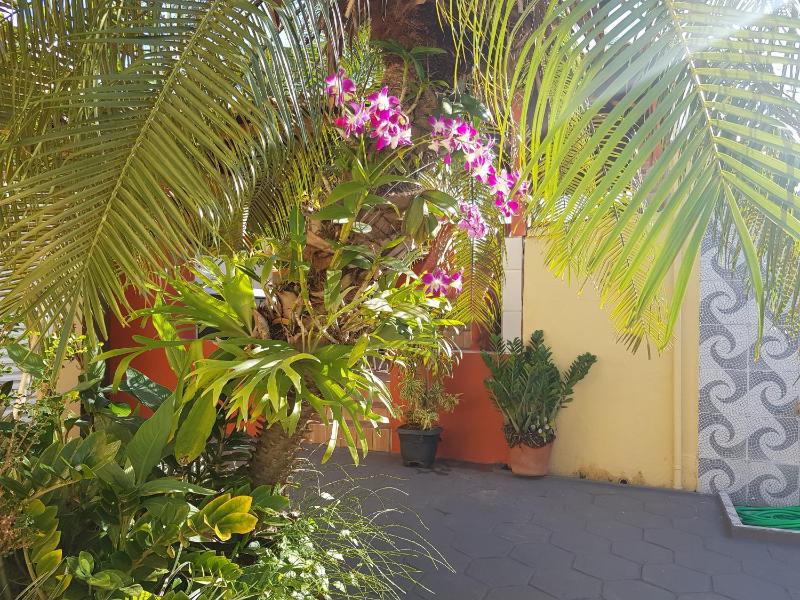 Cantinho São João - image 12