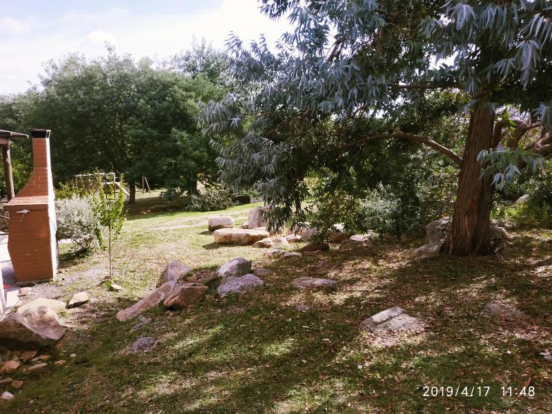 Las Golondrinas - image 36