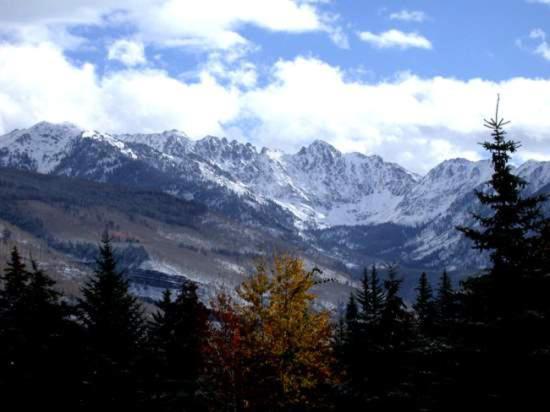 Three-Bedroom Apartment image 3