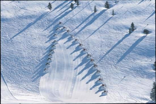 Nine Vail Road Easy Access to Gondola - image 6