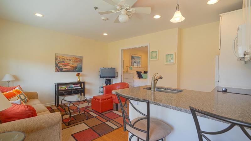 One-Bedroom Apartment image 2