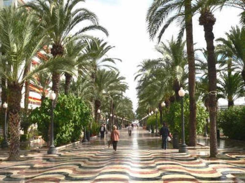 Alicante Center Apart - image 16