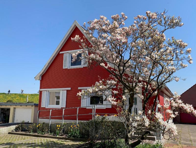 Apartment with Garden View image 1