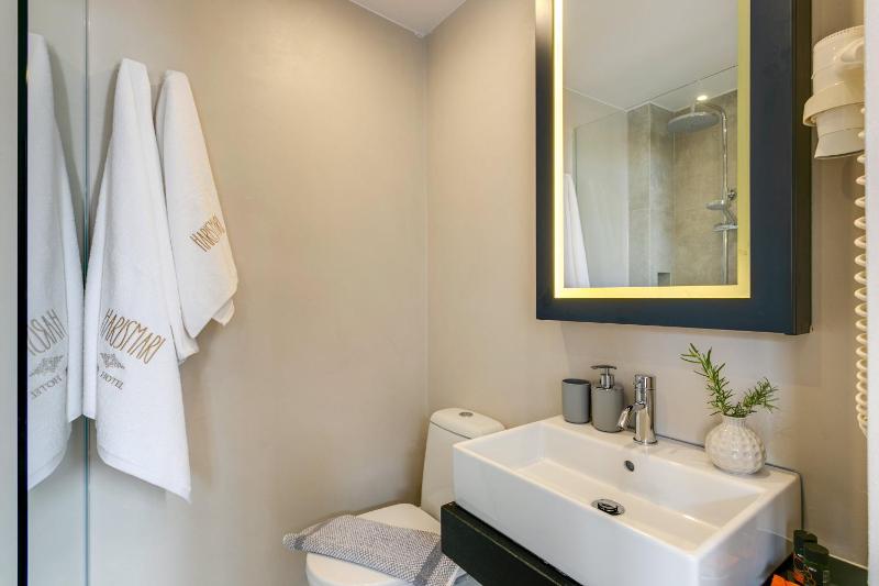 Standard Double Room with City View image 3