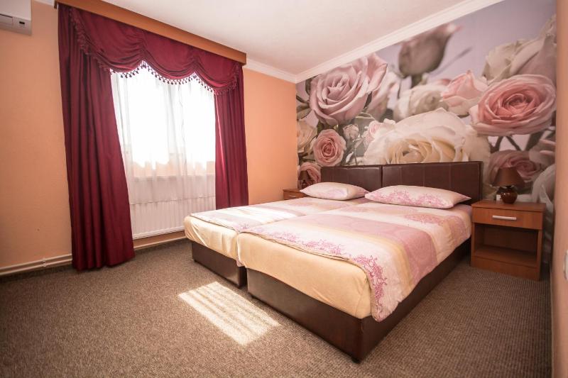 Standard Twin Room image 1