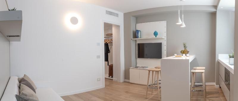 One-Bedroom Apartment image 4