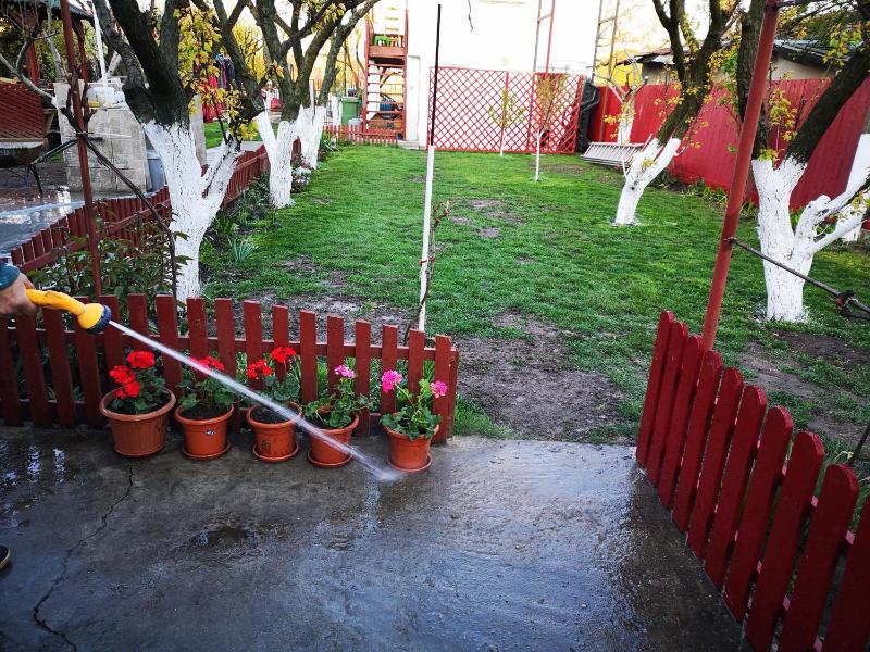 Casa cu Foisor - image 10