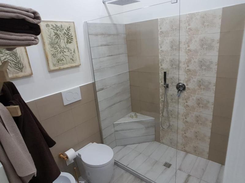 One-Bedroom Apartment image 4
