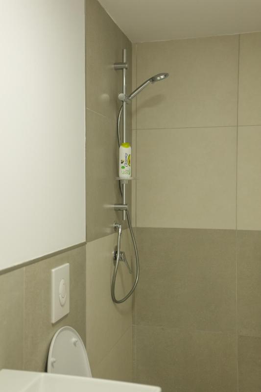 Penthouse Apartment image 4