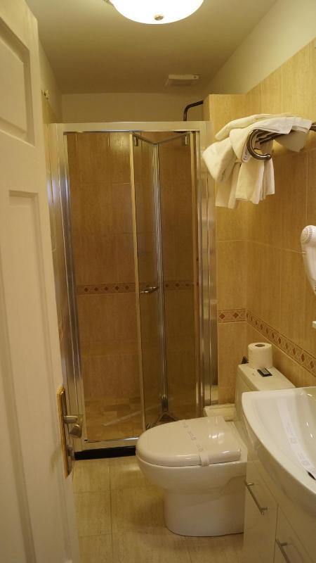 Standard Suite image 3