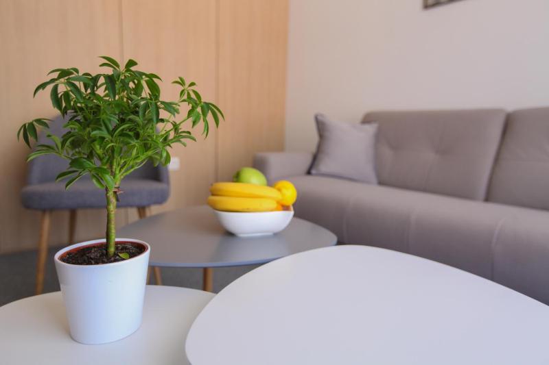 Standard Apartment image 4