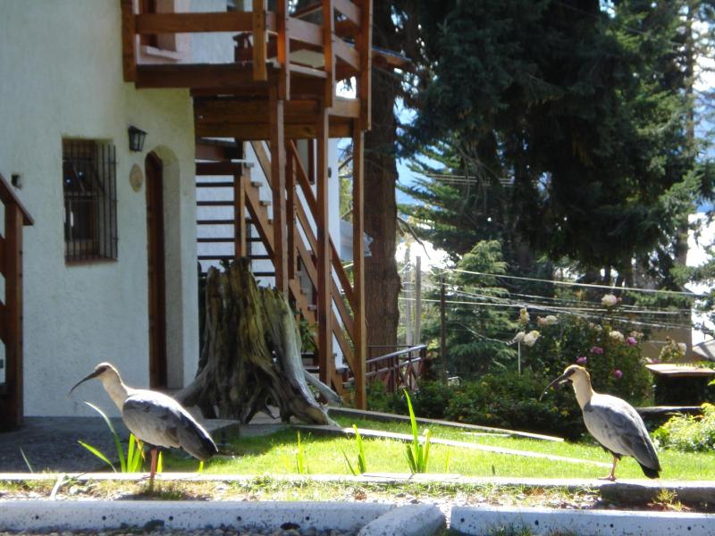 Mont Blanc Bungalows - image 16