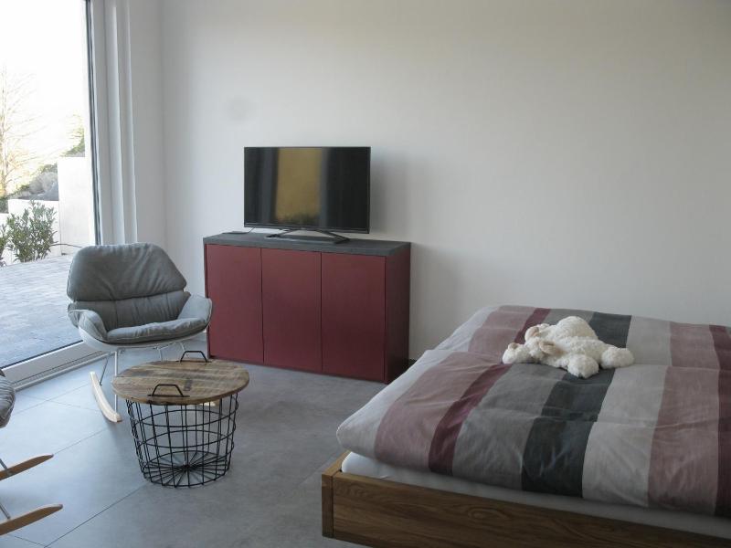One-Bedroom Apartment image 3