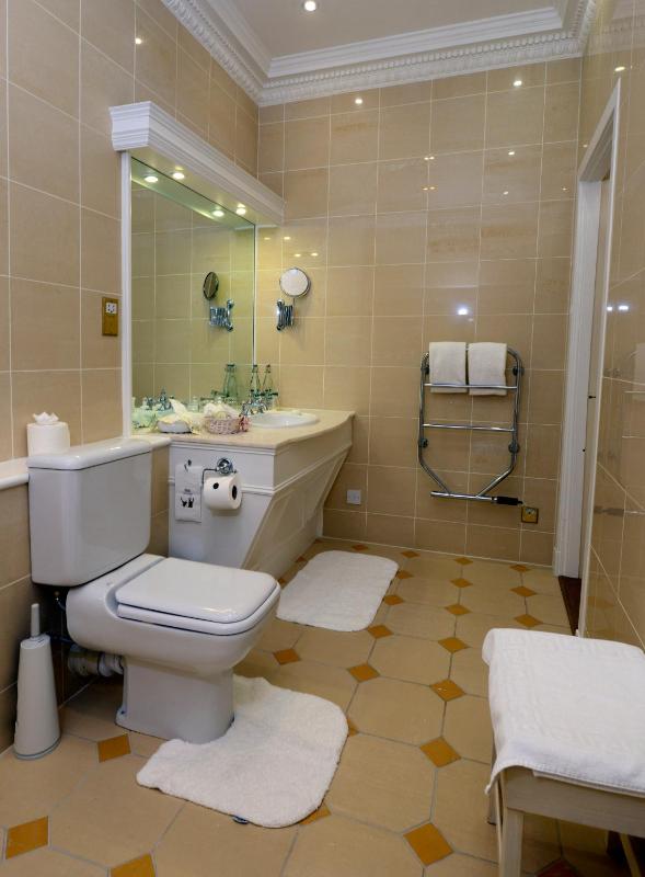 Superior Double Room image 3