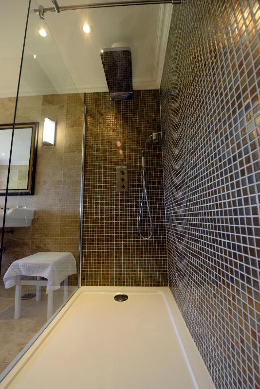 Junior Suite image 2