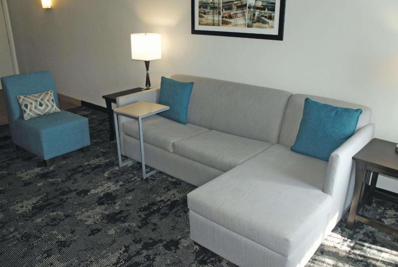 Deluxe King Suite - Non-Smoking image 3