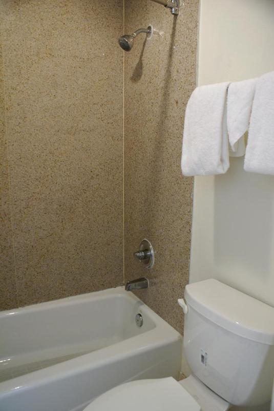 Standard Family Room image 4