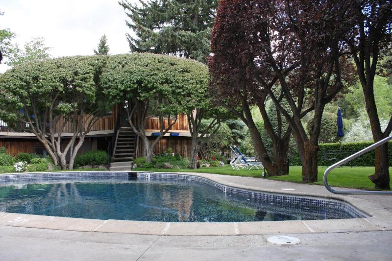 St Moritz Lodge and Condominiums - image 44
