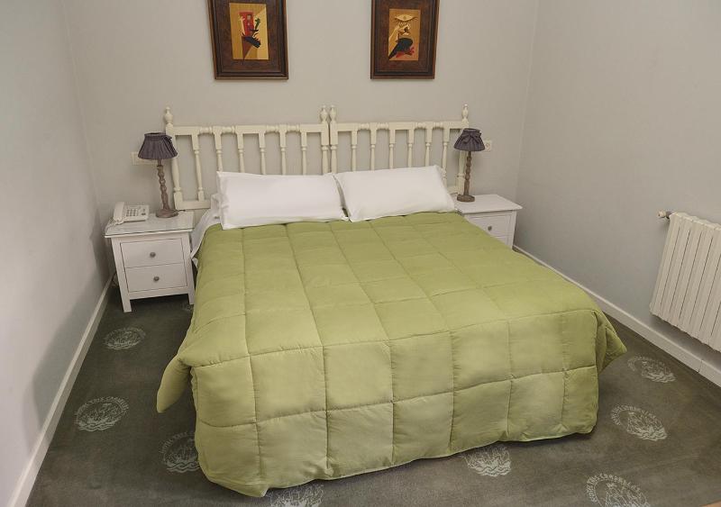Double or Twin Room image 3