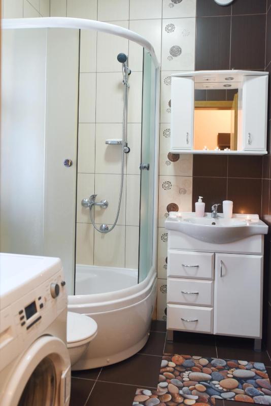 One-Bedroom Apartment image 3