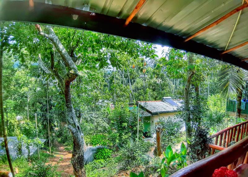Cozy Homestay Waterfall Road Ella - image 42
