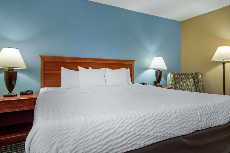 King Room - Non-Smoking image 3