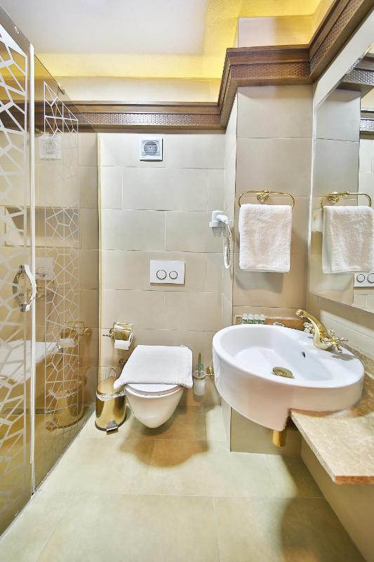 Deluxe Apartment image 4