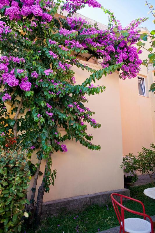 Apartments Angela - image 7