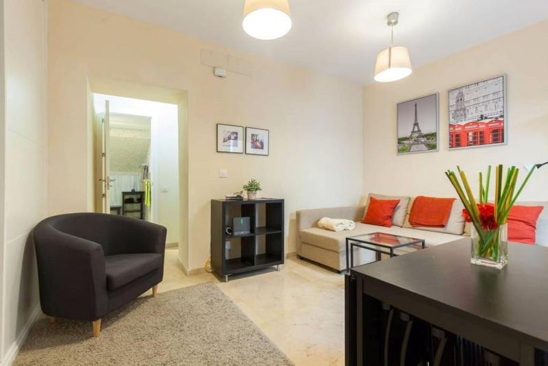 Panther Home Conde de Ibarra - image 3
