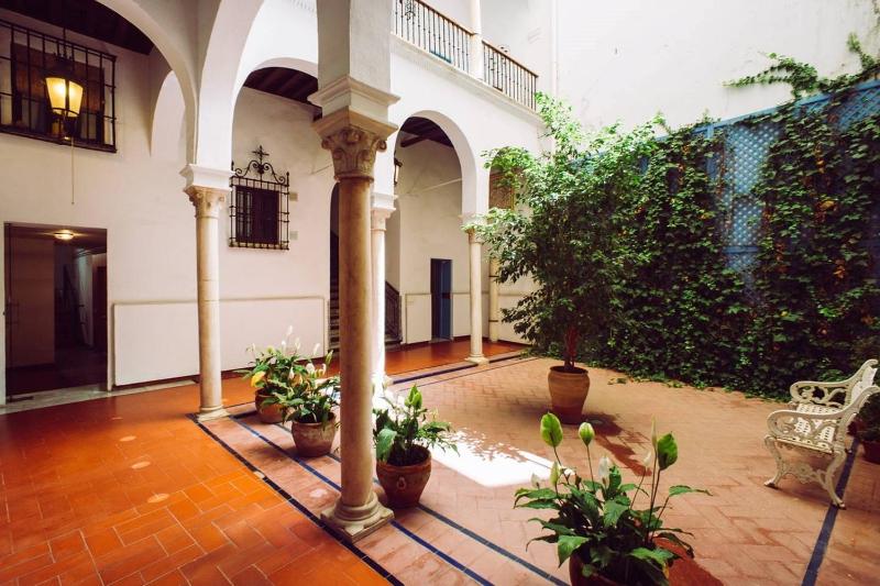 Panther Home Conde de Ibarra - image 8