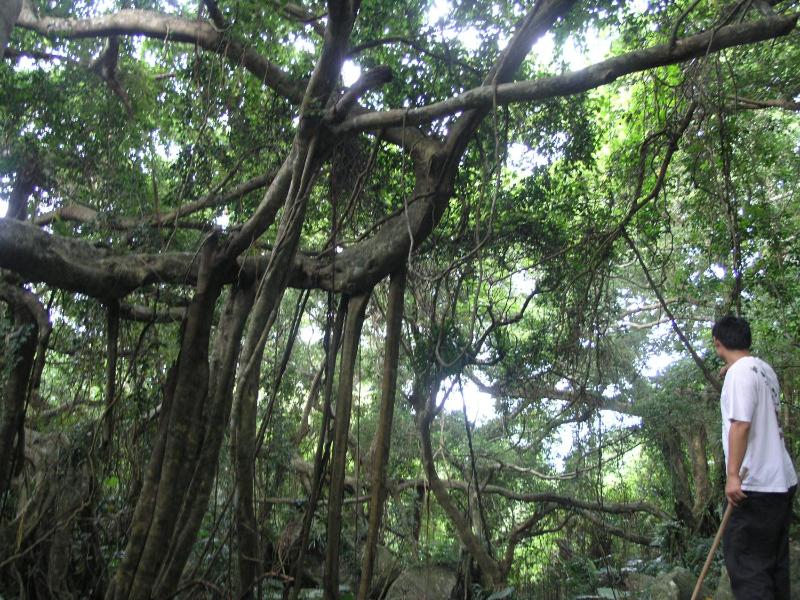 Groupei - image 18