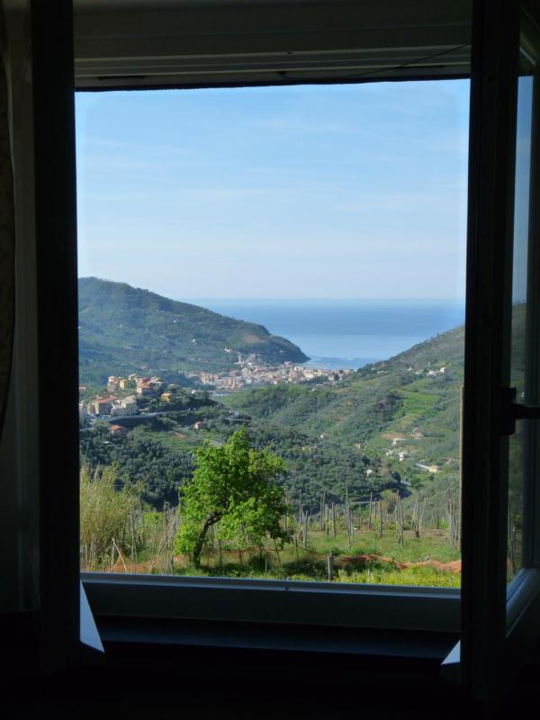 La Vignana - 5 Terre - image 31