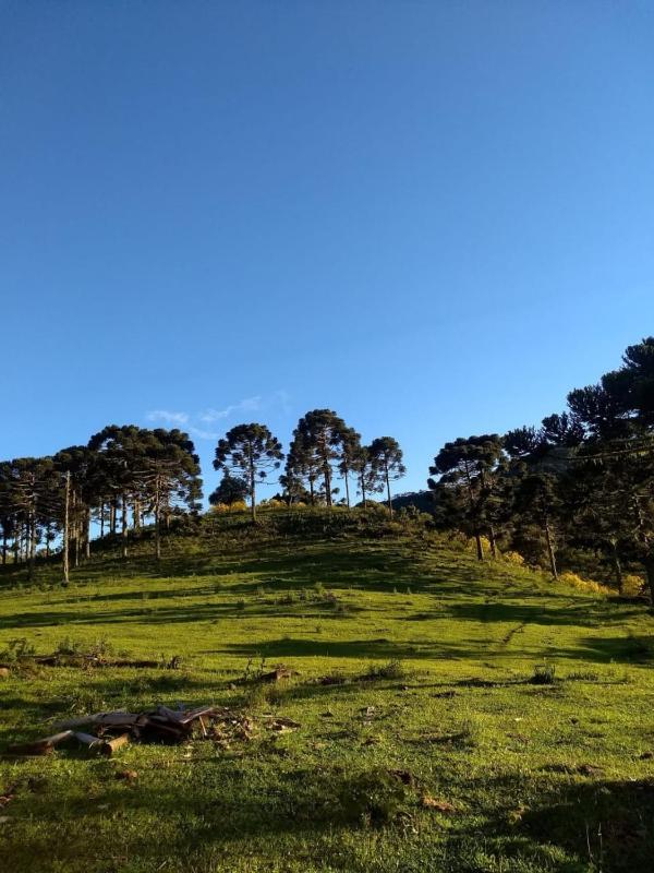 Casa e cabana de campo Fazenda Borba - image 29