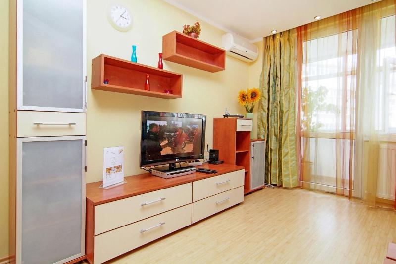 One-Bedroom Apartment image 4