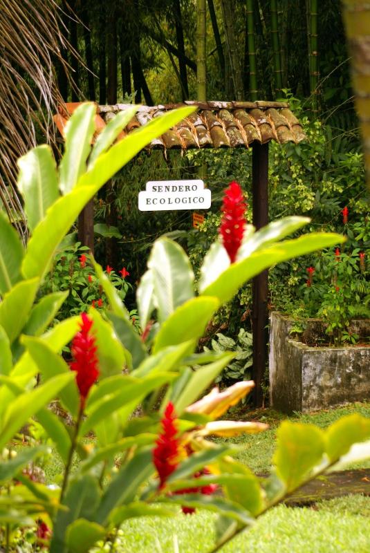 Hotel campestre La Floresta - image 25