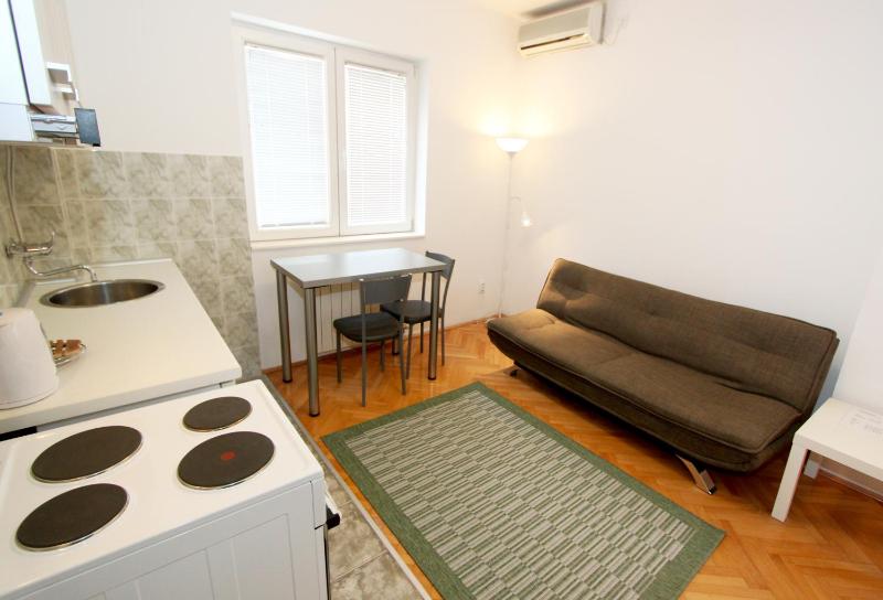 Studio Apartment image 4