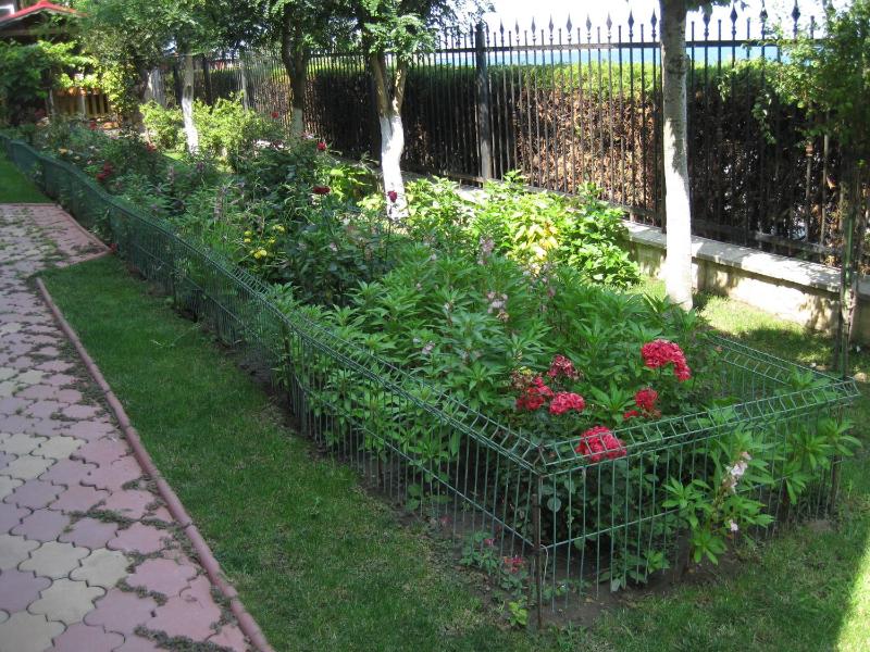 V3 Villa - image 24