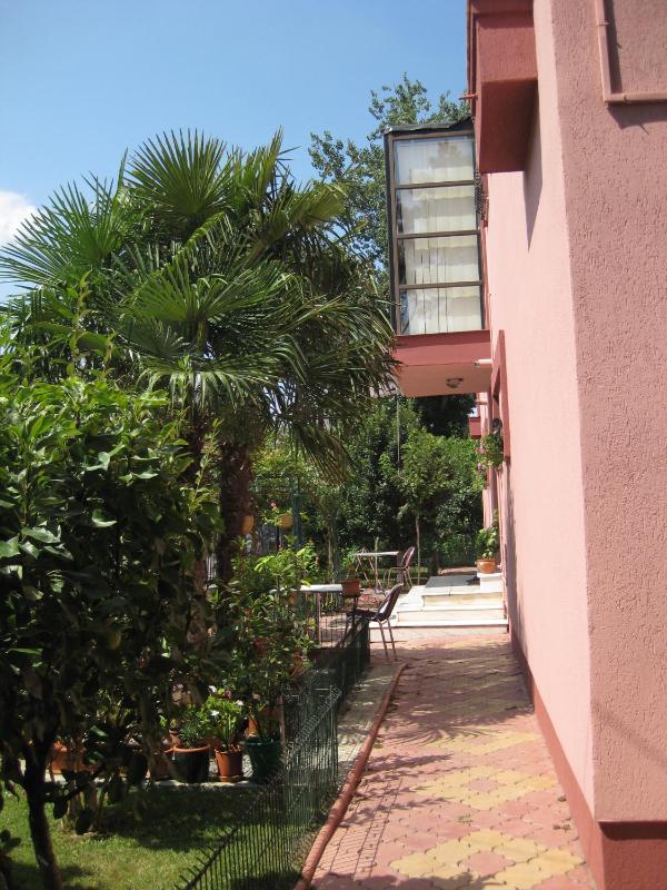 V3 Villa - image 26