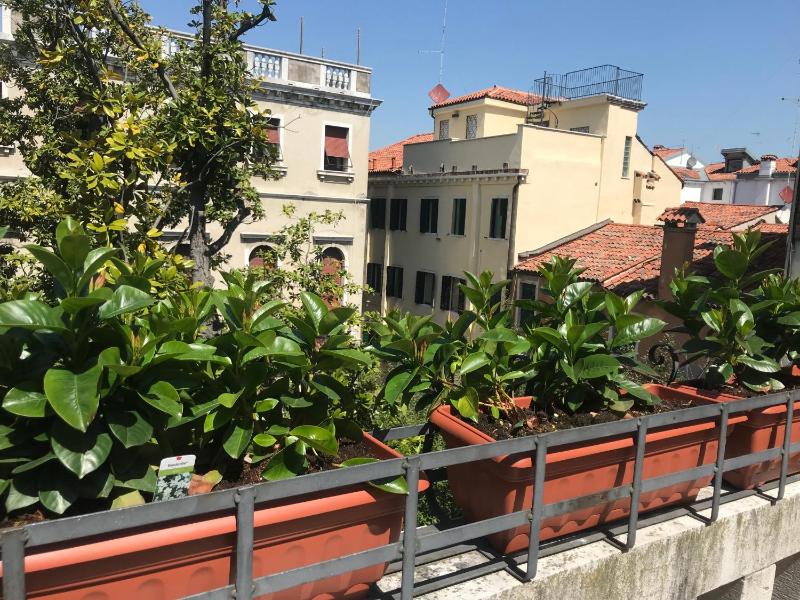Apartment with Terrace image 3