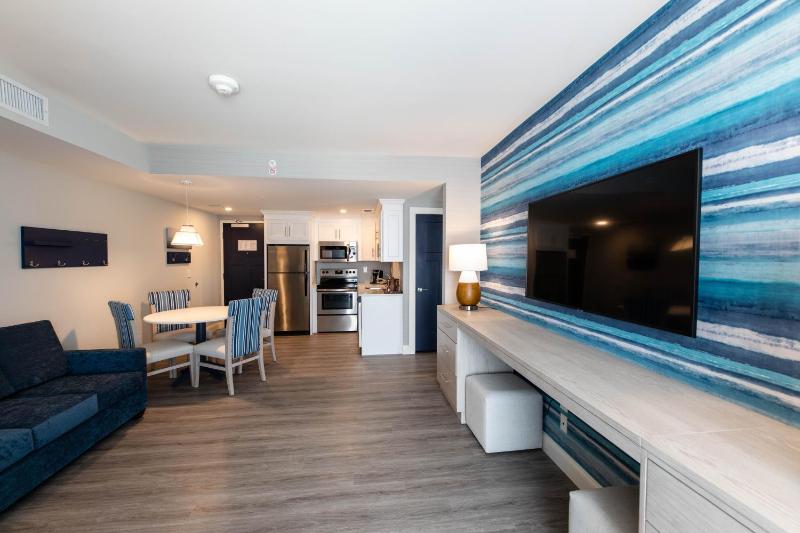 Deluxe King Suite image 4