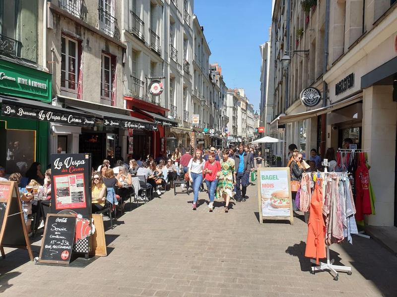 Le nid des carmes Images