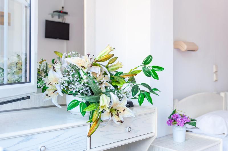 Studio Apartment image 4