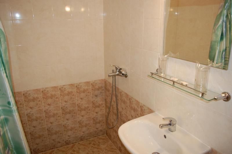 Large Double Room image 2