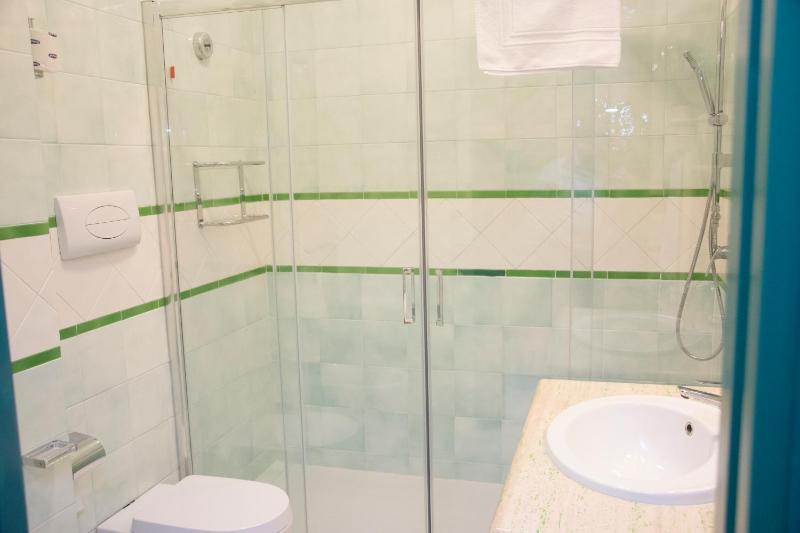 Single Room image 4