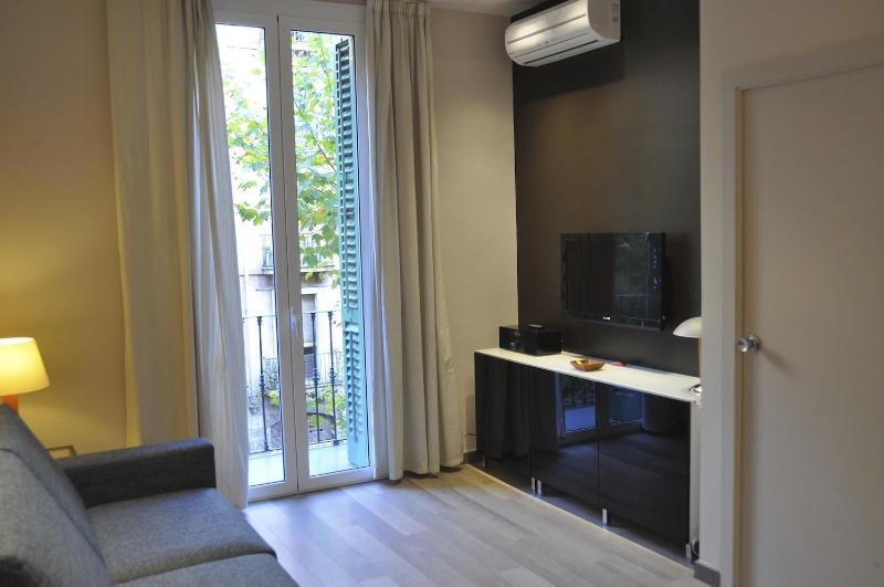 One-Bedroom Apartment 3 image 4