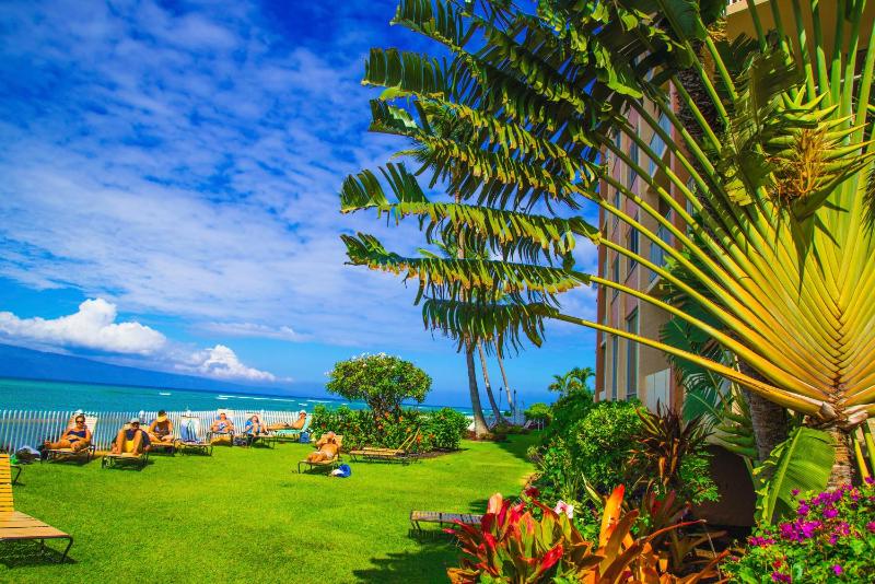 Royal Kahana 220 - image 17