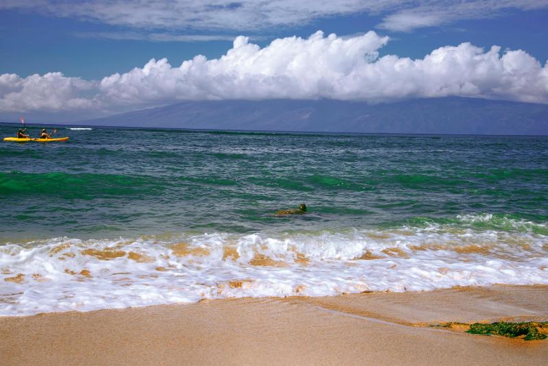 Royal Kahana 318 Studio Condo - image 16